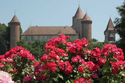 festival_roses_estavayer.jpg