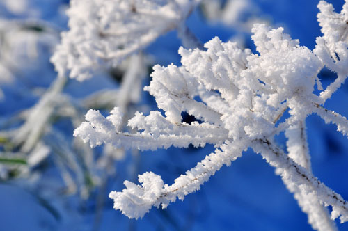 hiver.jpg