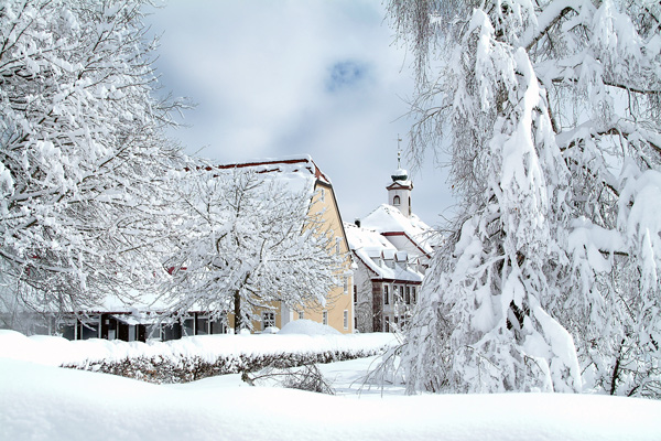 jardin-hiver.jpg