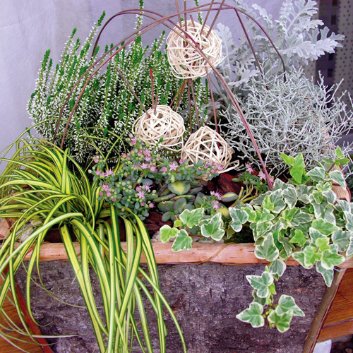 Corbeille-dautomne-hiver.jpg