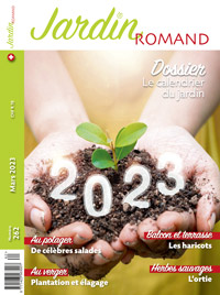 Couv 262 petit petit