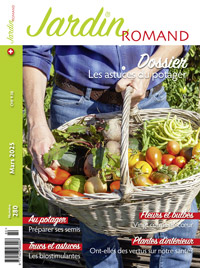Couv 262 petit petit